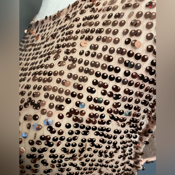 LIMITED Pink Sequin Sheer Sleeveless Blouse / Tunic - Size Small - Picture 11 of 16